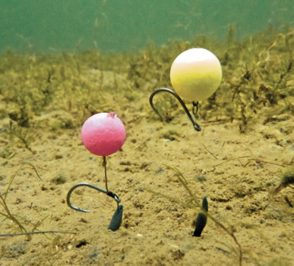 image-26 Jaki kolor pop-upów wybrać? Porada od Dynamite Baits