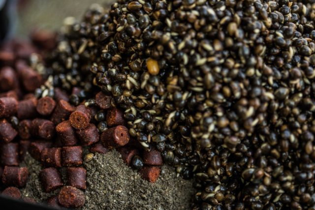 clanek-27-of-87-640x427-2 Zanęta na ostrożnego karpia: taktyka gotowania kulek proteinowych