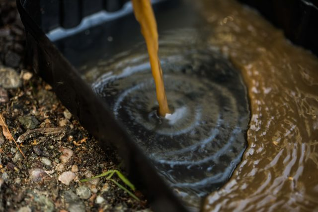 image-101 Zanęta na ostrożnego karpia: taktyka gotowania kulek proteinowych