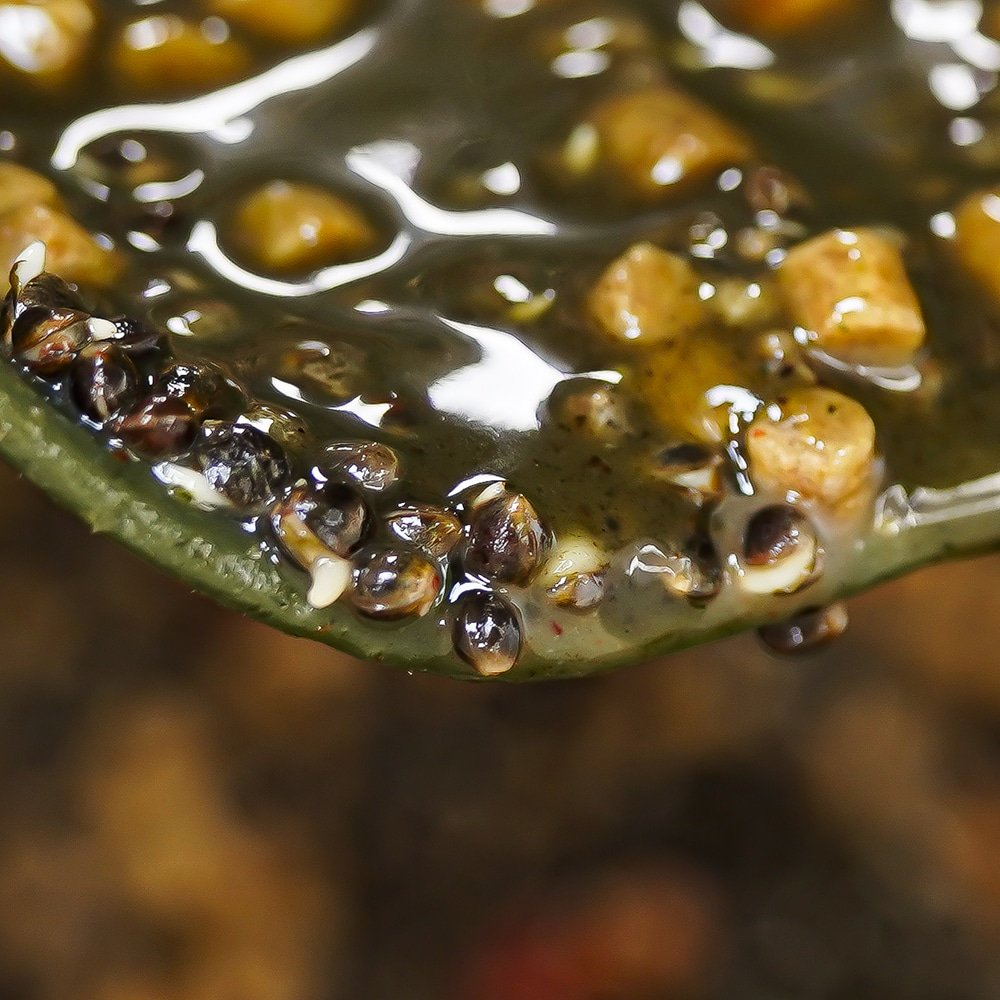 image-104 Dlaczego konopie są jednym z najpopularniejszych składników w zanęcie karpiowej?