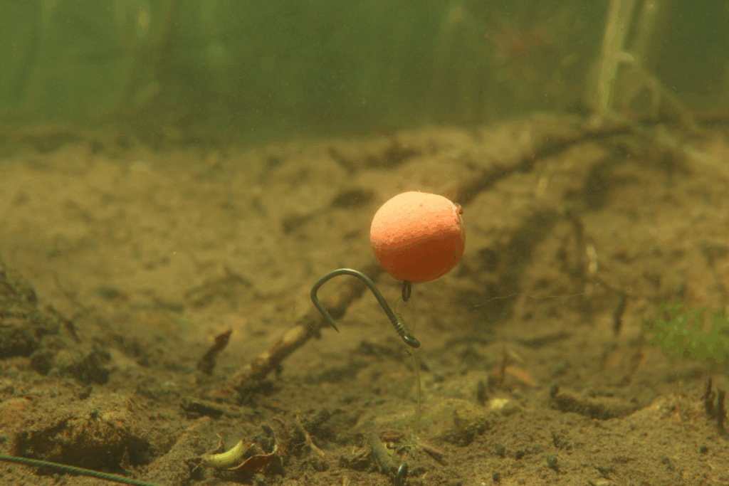 image-154-1024x683 Łowienie na pojedynczą przynętę karpiową — kiedy warto?