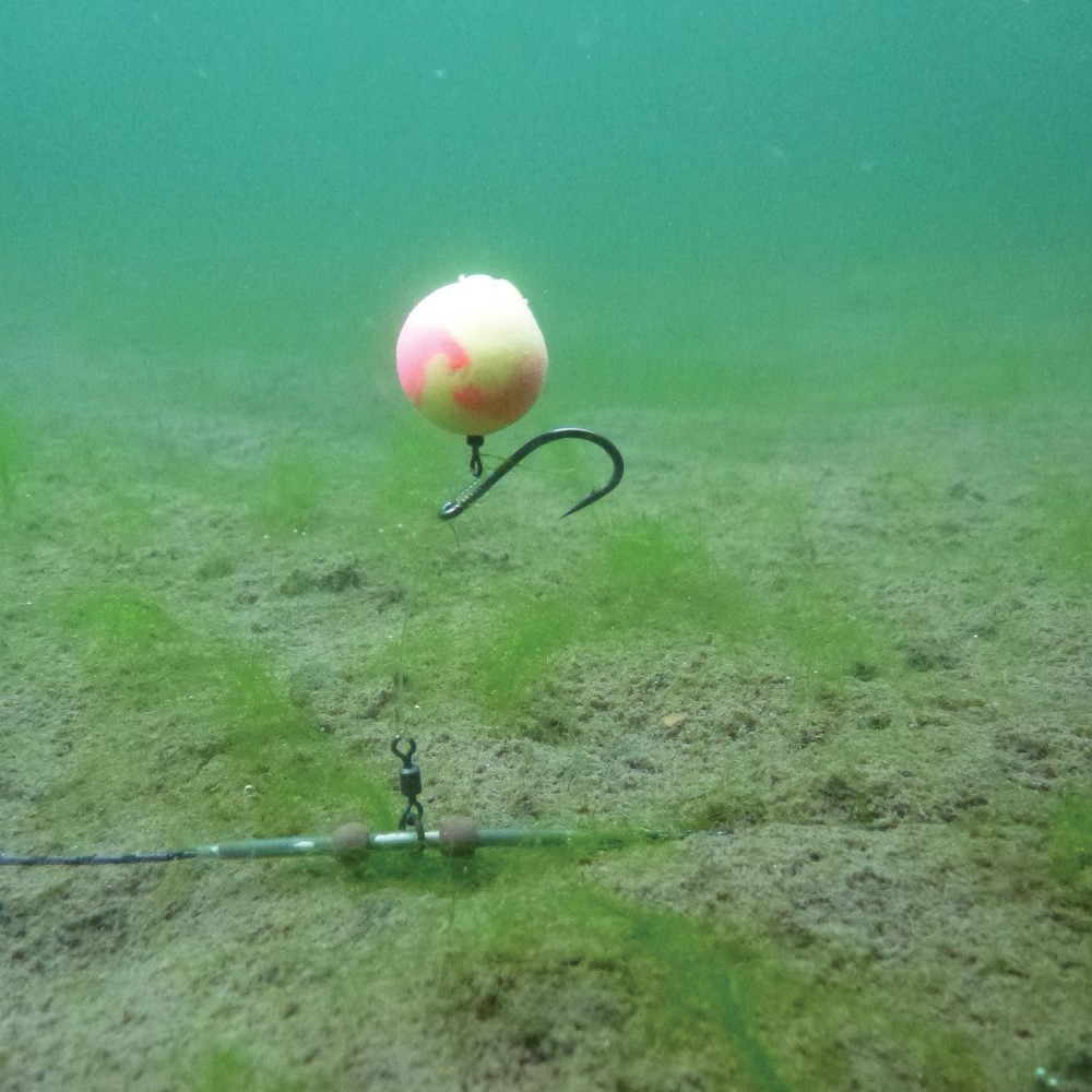 image-155 Łowienie na pojedynczą przynętę karpiową — kiedy warto?