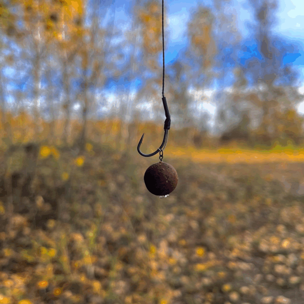 image-156-1024x1024 Łowienie na pojedynczą przynętę karpiową — kiedy warto?