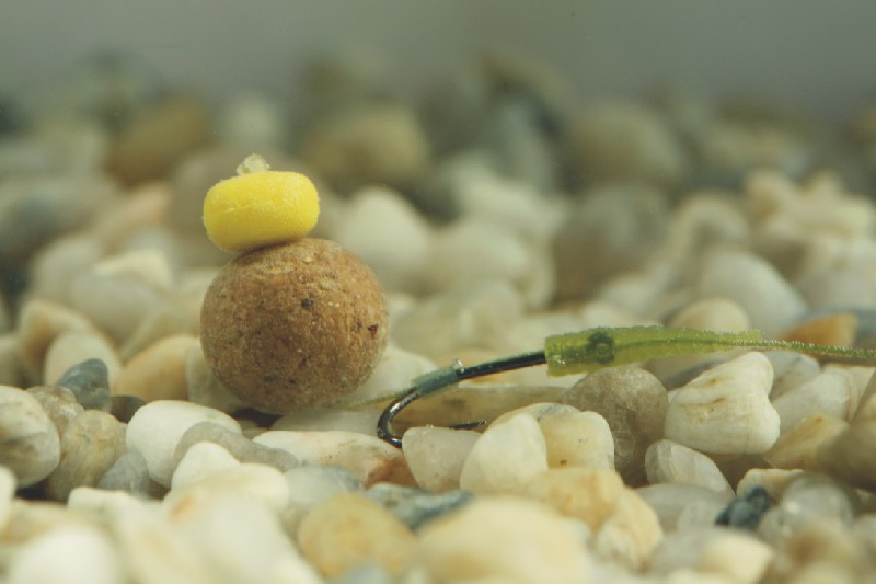 image-16 Jakie przynęty na karpia jesienią? 🎣