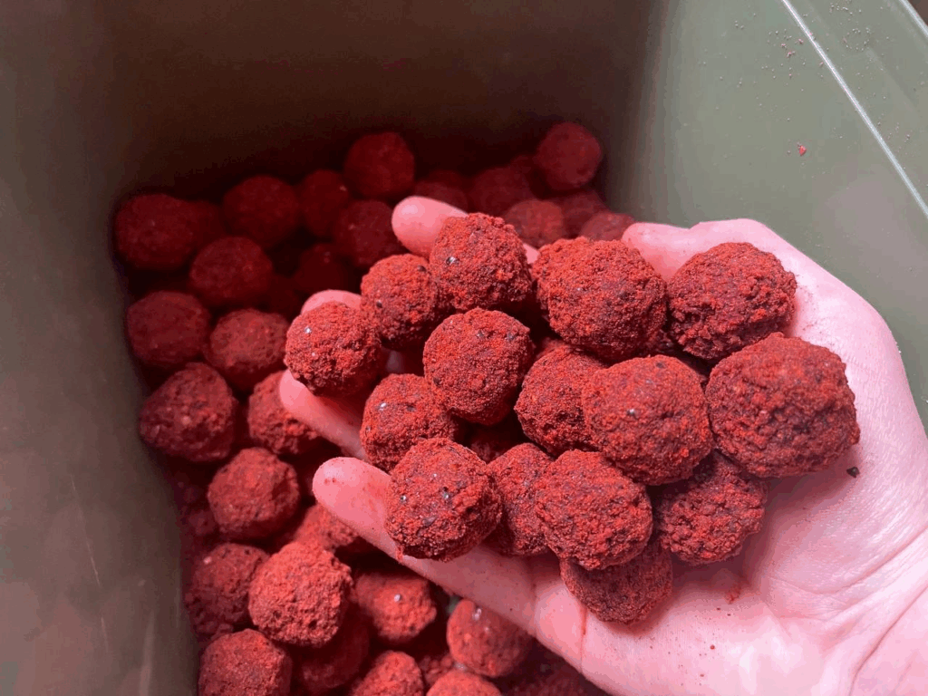 image-162-1024x768 Łowienie na pojedynczą przynętę karpiową — kiedy warto?