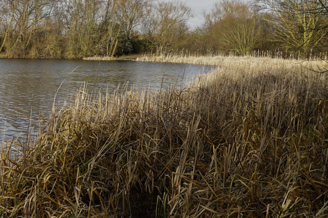 image-176 Najlepsze miejsca do połowu karpia późną jesienią