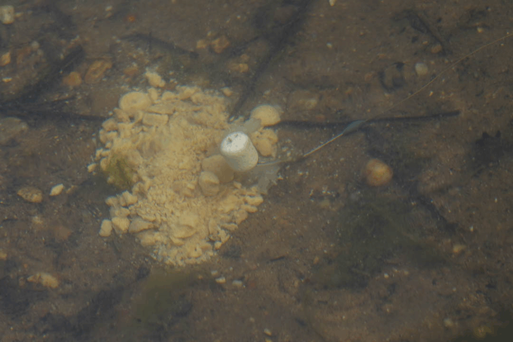 image-179-1024x683 Najlepsze miejsca do połowu karpia późną jesienią