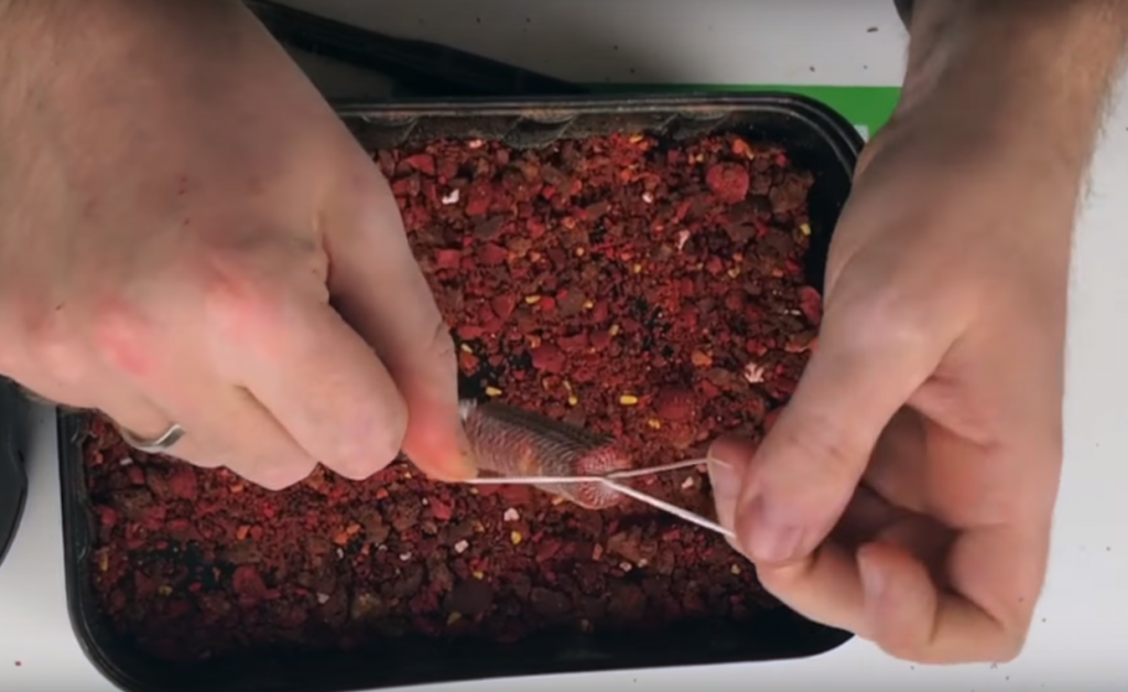 image-184 Jak związać bardzo ciasny PVA stick?