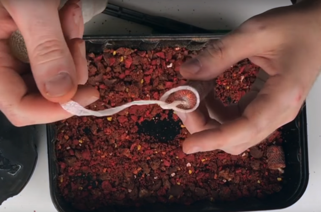 image-188 Jak związać bardzo ciasny PVA stick?