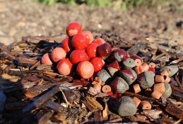 image-20 Łowienie karpia jesienią – 10 skutecznych wskazówek od Carpcloud