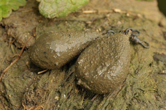 image-215 10 faktów, które wędkarze odkryli dzięki podwodnym nagraniom o łowieniu karpia