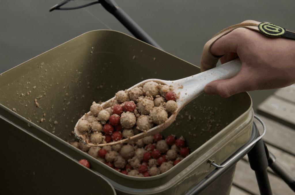 image-23-1024x679 Łowienie karpia jesienią – 10 skutecznych wskazówek od Carpcloud