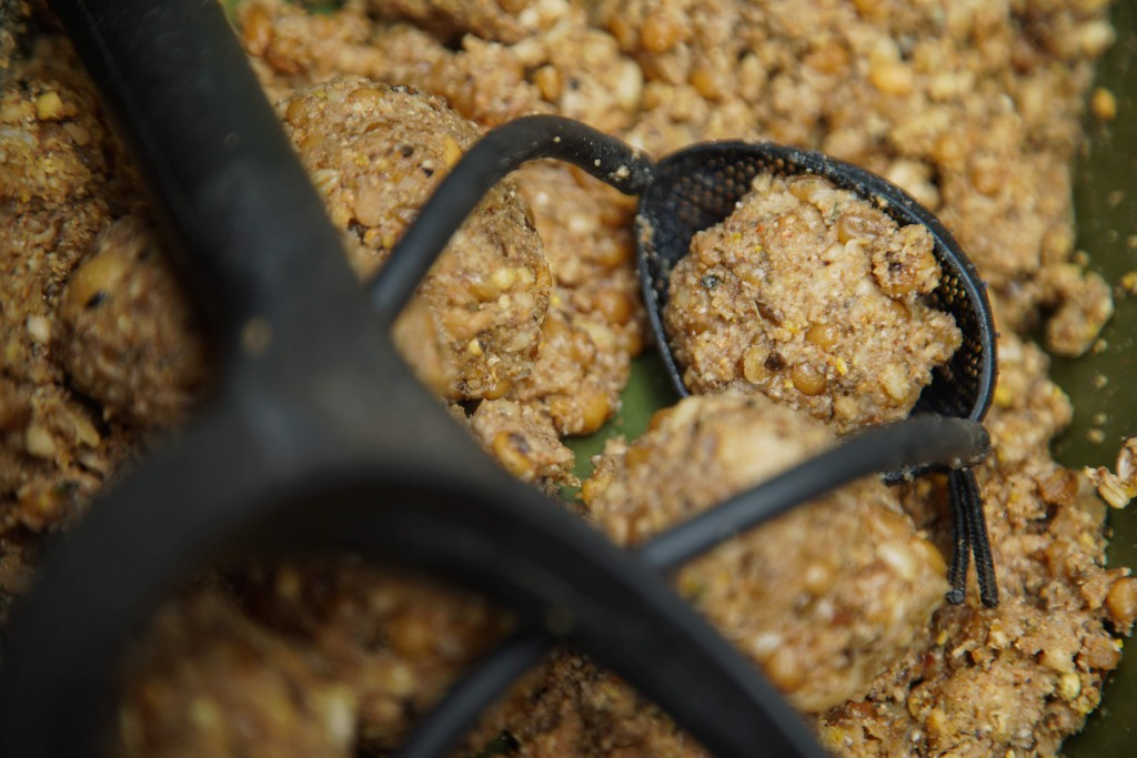 image-55 🎣 5 skutecznych wskazówek dotyczących łowienia karpi w głębokich jeziorach