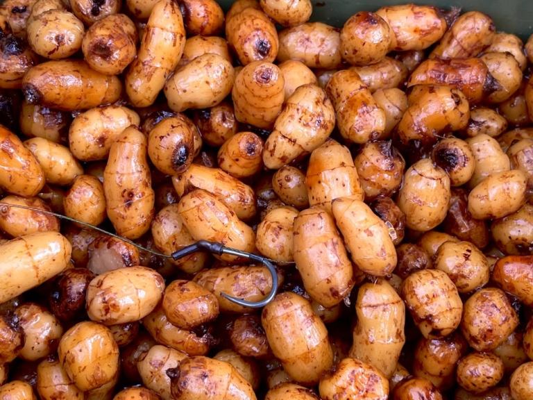 image-91 Orzech Tygrysi – czy na pewno używasz go prawidłowo?