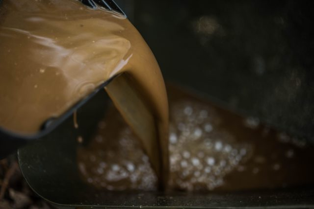 image-99 Zanęta na ostrożnego karpia: taktyka gotowania kulek proteinowych