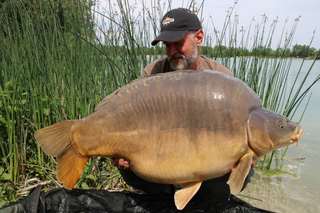 image-100 Rekordowe karpie z łowiska Zajarki (Chorwacja)