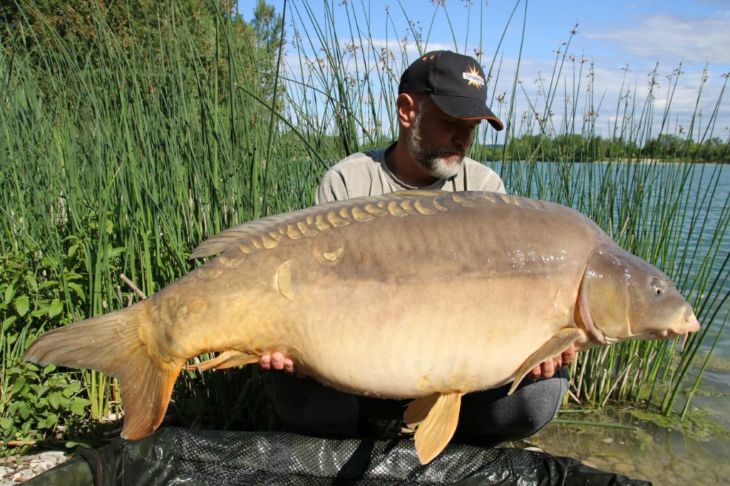 image-102 Rekordowe karpie z łowiska Zajarki (Chorwacja)