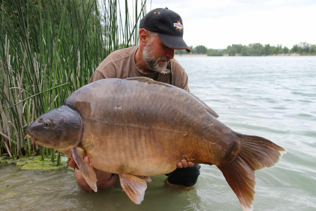 image-103 Rekordowe karpie z łowiska Zajarki (Chorwacja)