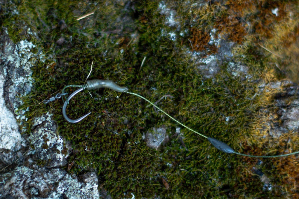 image-125 Jak używać orzecha tygrysiego jako przynęty