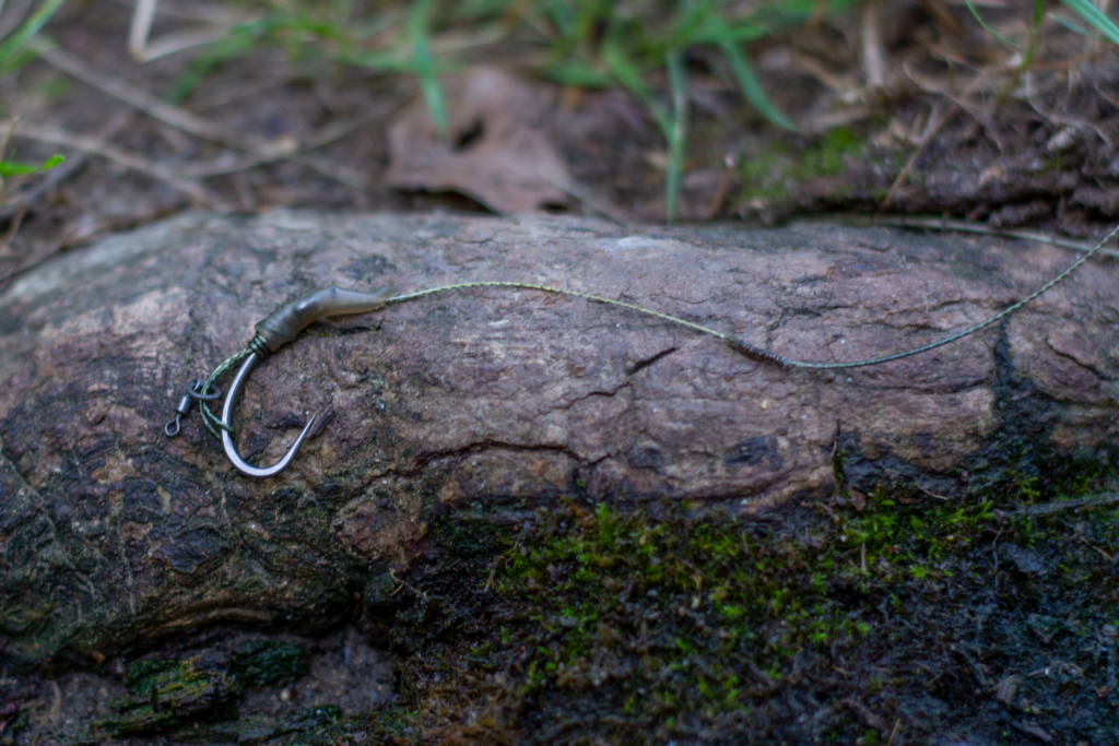 image-126 Jak używać orzecha tygrysiego jako przynęty