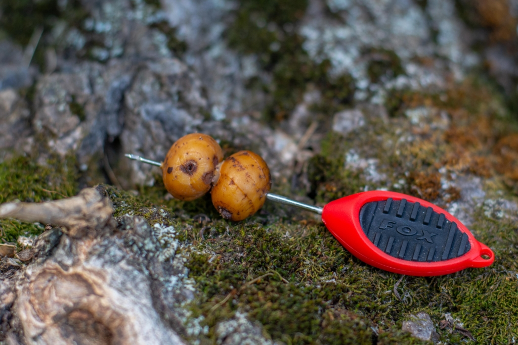 image-132 Jak używać orzecha tygrysiego jako przynęty