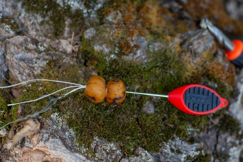 image-133 Jak używać orzecha tygrysiego jako przynęty