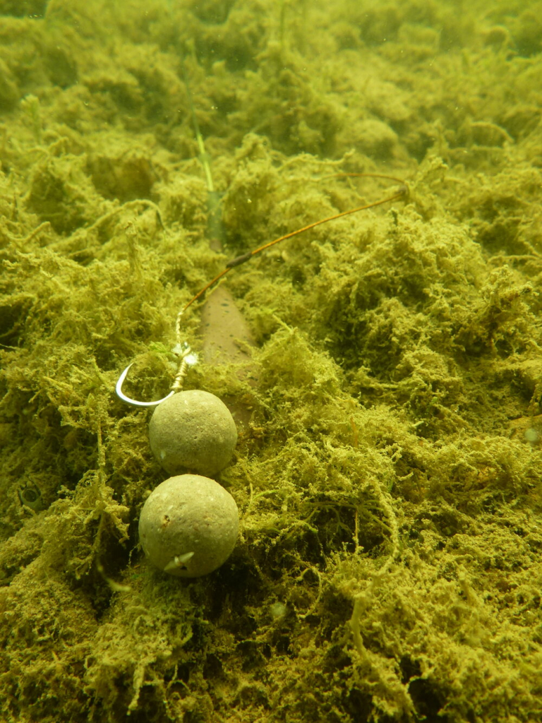 image-137 Sekrety karpi – Rob Hughes