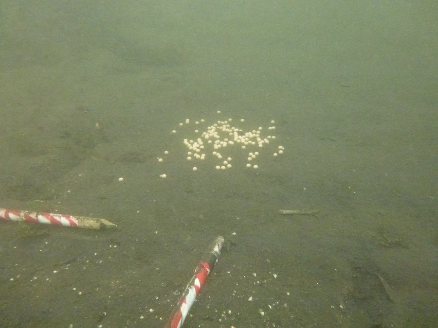 image-22 Jak klipsować rakietę Spomb, aby nęcić precyzyjnie