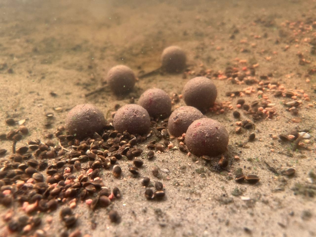 image-33 30 porad, które pomogą Ci złowić dużego karpia