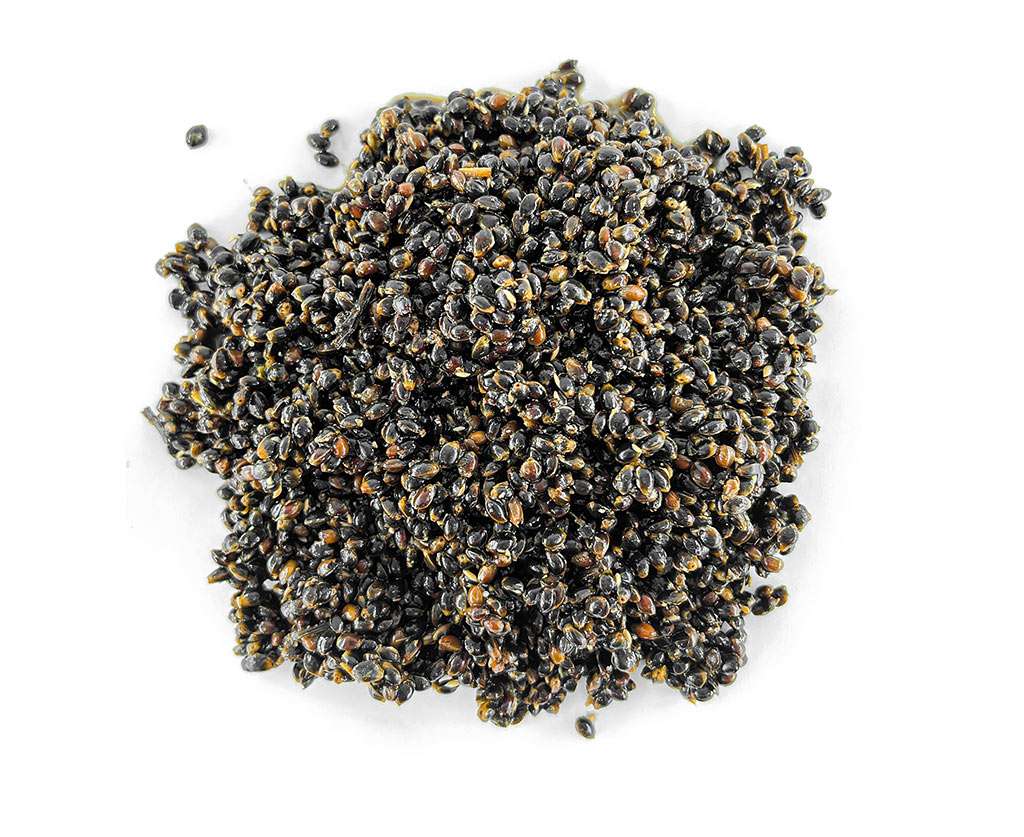 image-34 30 porad, które pomogą Ci złowić dużego karpia