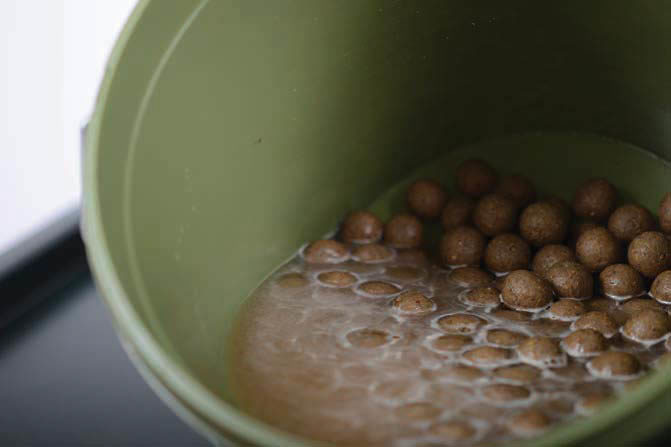 image-36 30 porad, które pomogą Ci złowić dużego karpia