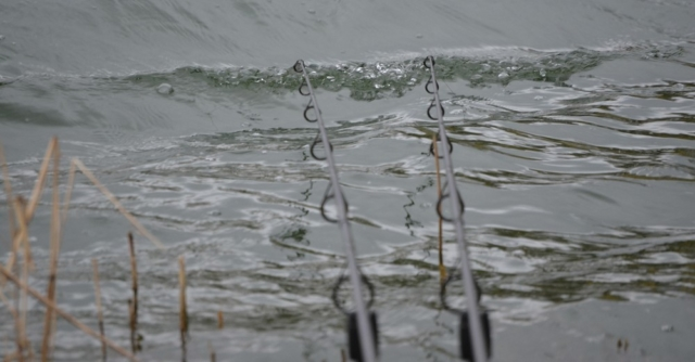 image-37 Ciśnienie atmosferyczne a łowienie karpia