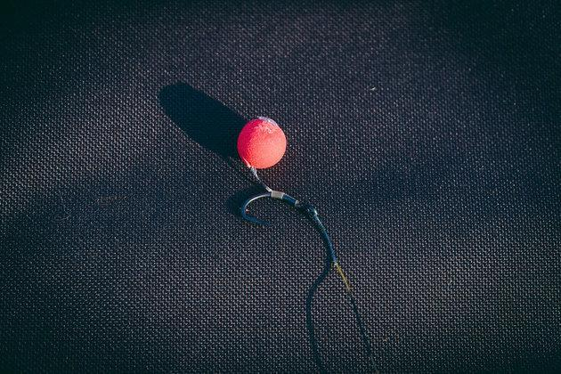 image-40 Przynęty karpiowe. Od czego zacząć łowienie karpia?