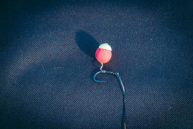 image-41 Przynęty karpiowe. Od czego zacząć łowienie karpia?