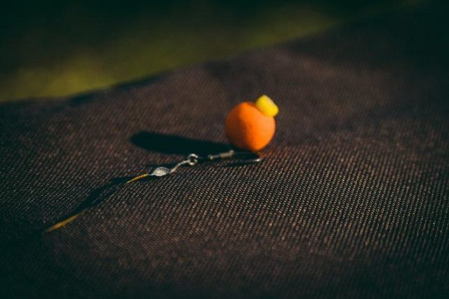 image-43 Przynęty karpiowe. Od czego zacząć łowienie karpia?