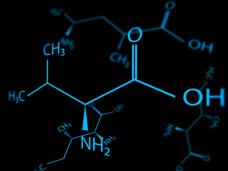 image-62 Aminokwasy. Jaką rolę odgrywają w życiu karpia?