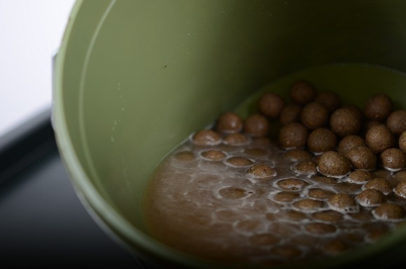 image-65 Aminokwasy. Jaką rolę odgrywają w życiu karpia?