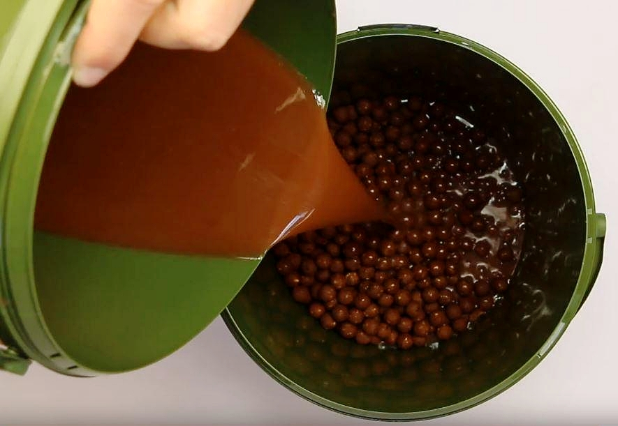 image-67 Aminokwasy. Jaką rolę odgrywają w życiu karpia?