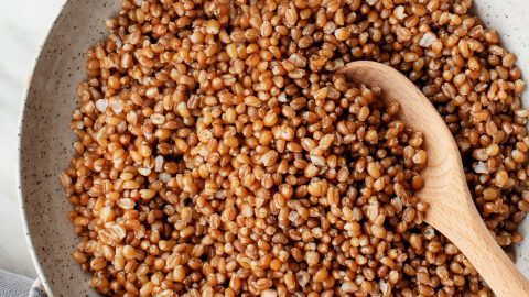 image-79 Pszenica w karpiowaniu