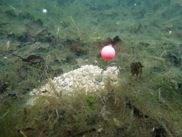 image-83 Jak łowić na głębokim mule. Genialnie i prosto od Roba Hughesa