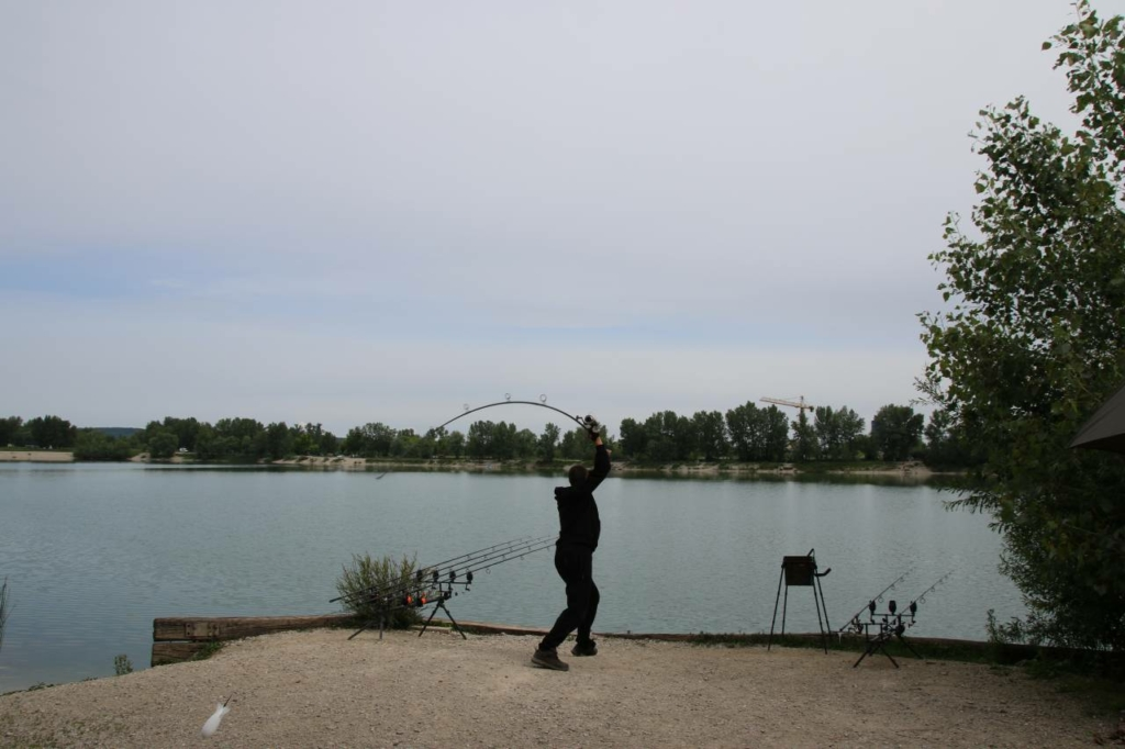 image-97 Rekordowe karpie z łowiska Zajarki (Chorwacja)