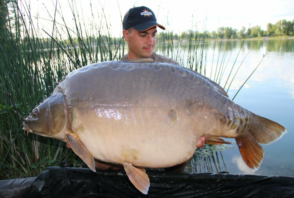 image-99 Rekordowe karpie z łowiska Zajarki (Chorwacja)