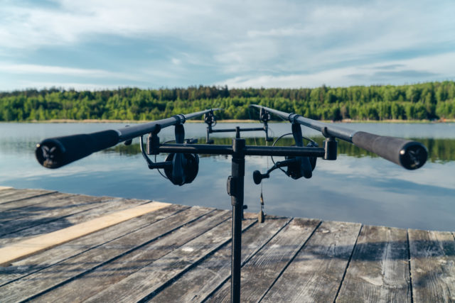 image-126 Nocne łowienie karpia