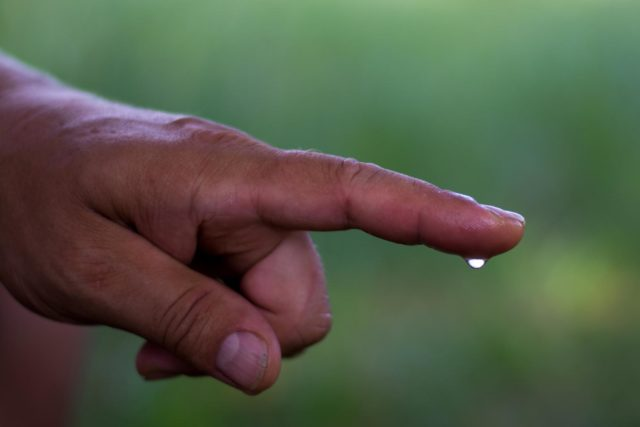 image-142 Pianka PVA do łowienia karpia