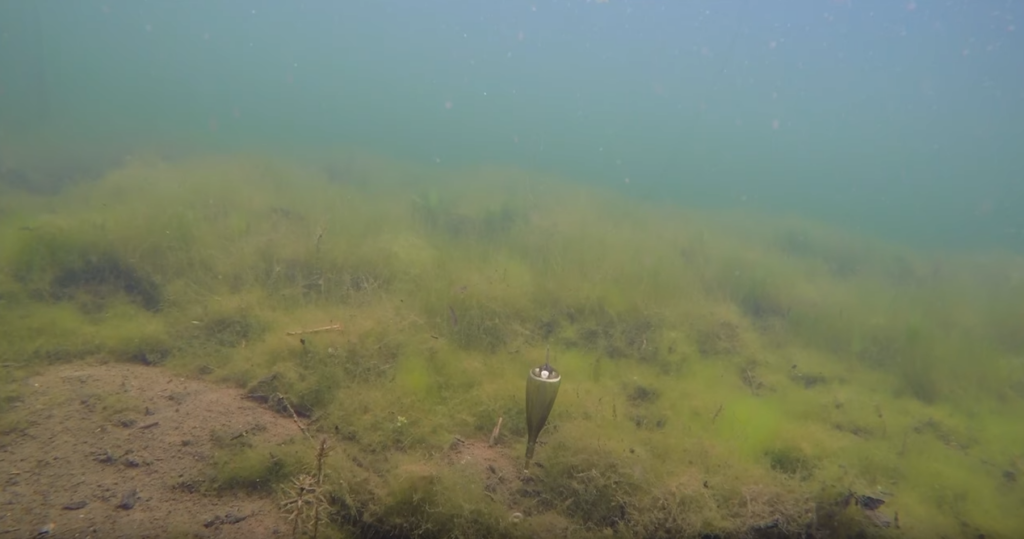 image-17-1024x539 Łowienie karpia na zig rig. Teraz jest to wielokrotnie prostsze!