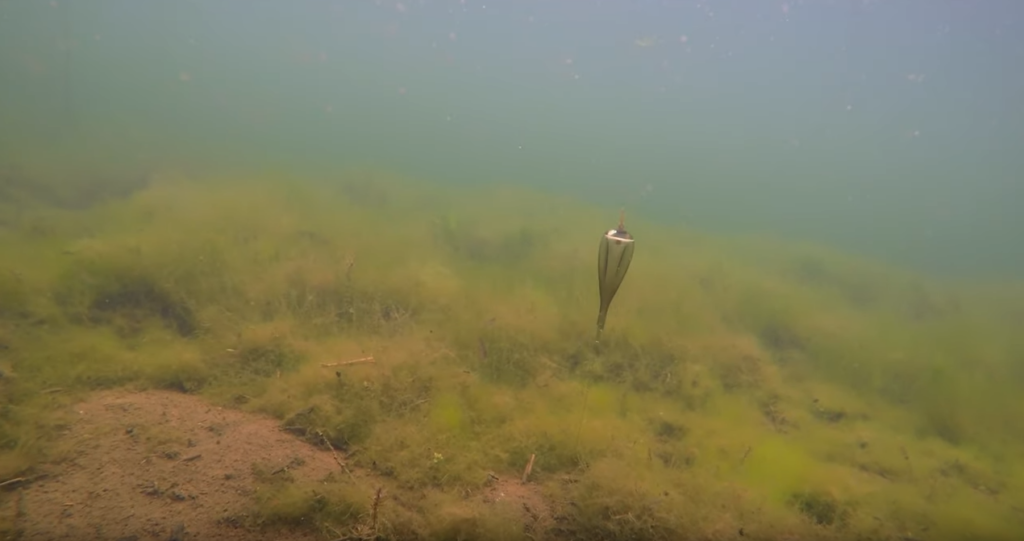 image-18-1024x541 Łowienie karpia na zig rig. Teraz jest to wielokrotnie prostsze!