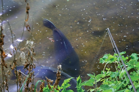 image-45 Stalking. TOP 7 porad