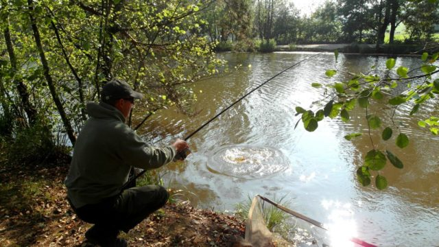 image-46 Stalking. TOP 7 porad