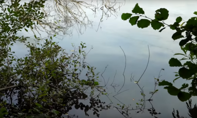 image-47 Łowienie karpia w zaczepach. TOP 7 porad