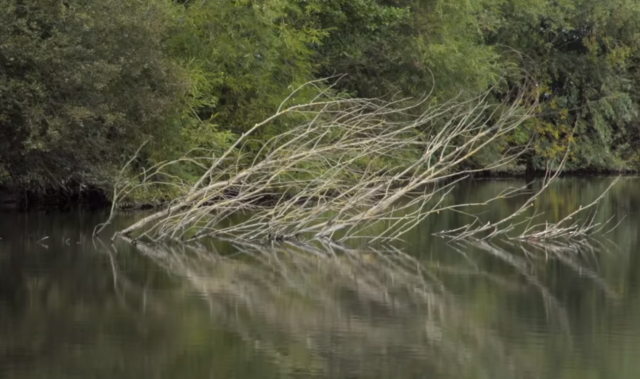 image-48 Łowienie karpia w zaczepach. TOP 7 porad